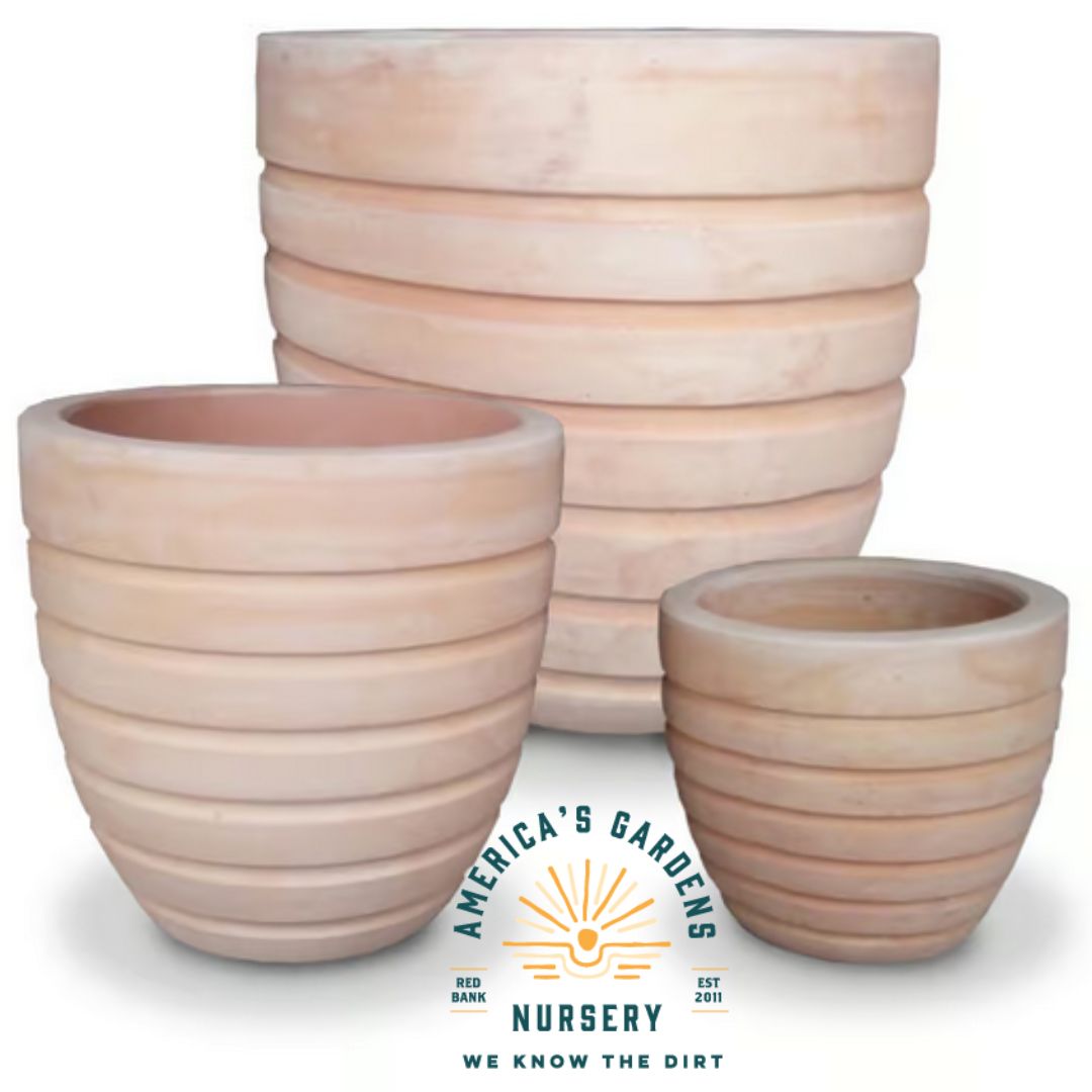 Banded Terra Cotta Egg Pot