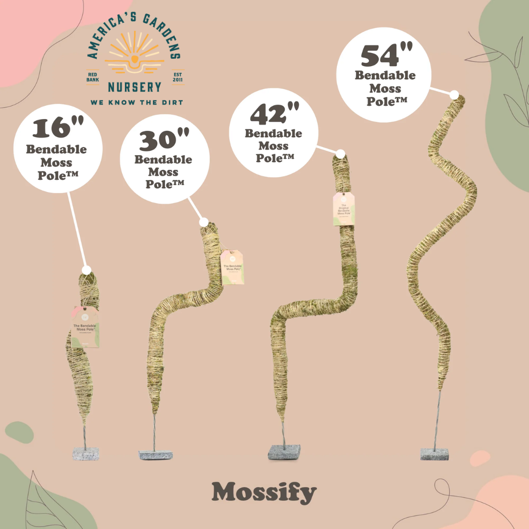 Bendable Coir Poles