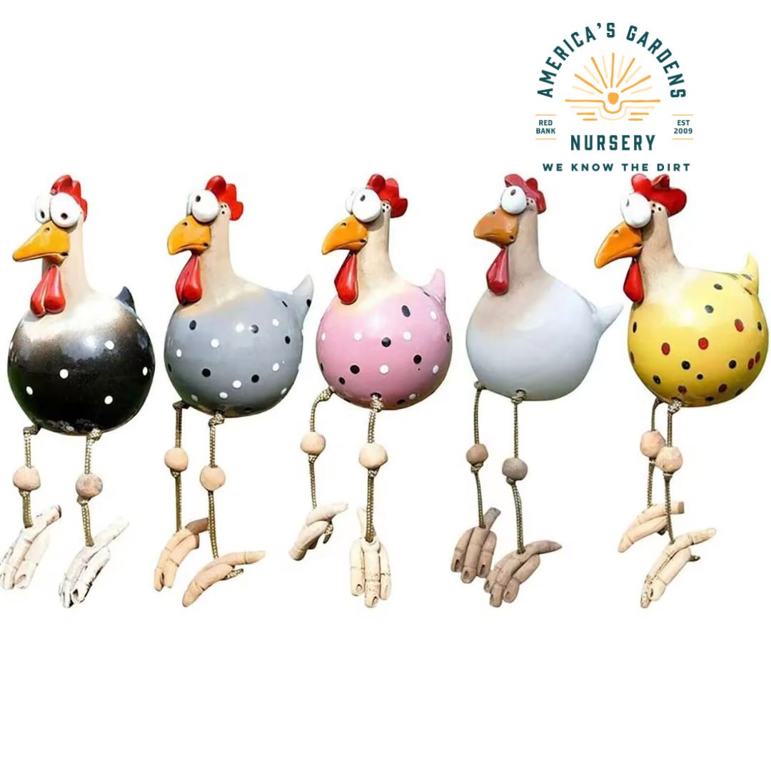 Big Eyed Chicken Garden Decorations