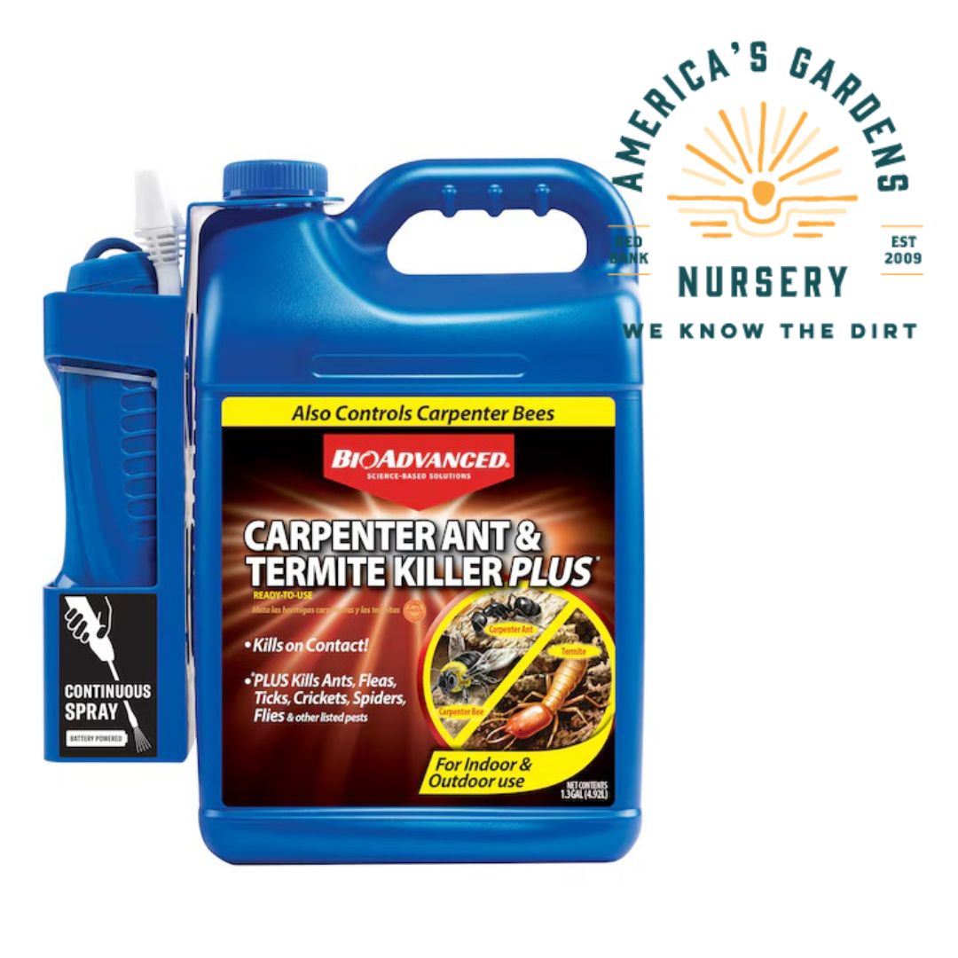 BioAdv Carpenter Ant & Termite Control RTU Bottle