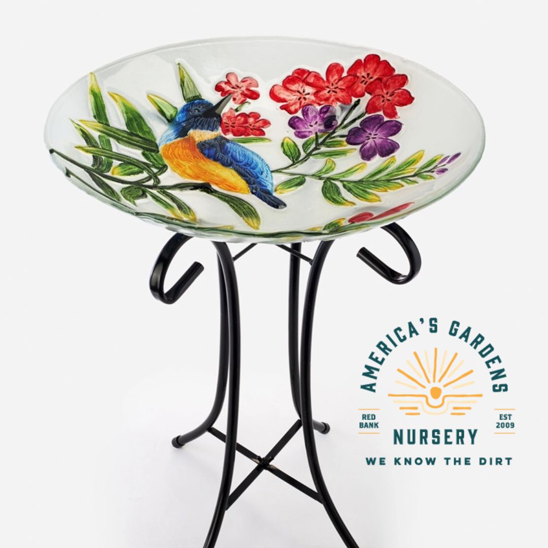 Glass Birdbath W/Stand