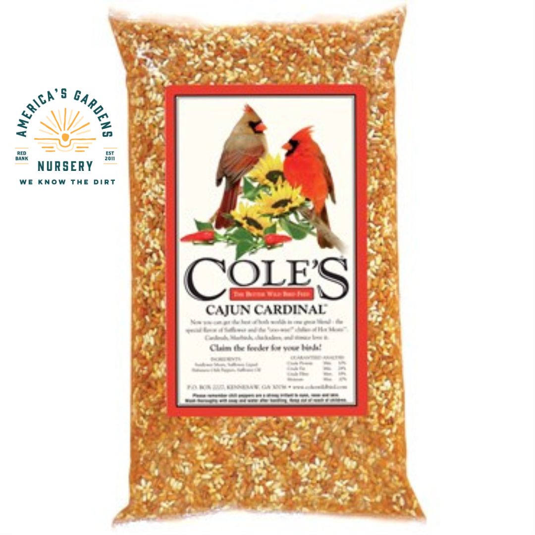 Coles Cajun Cardinal Blend Birdseed