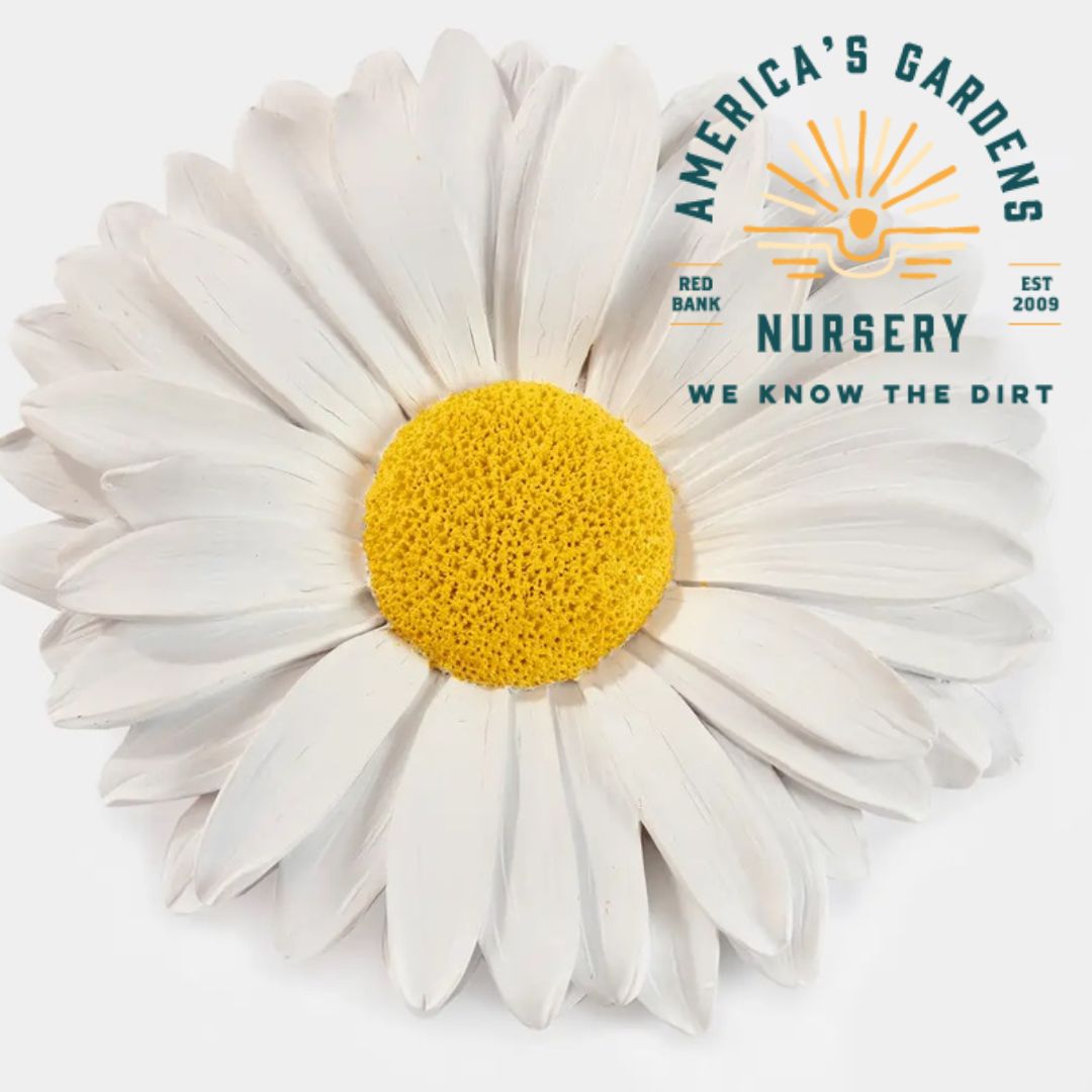 Daisy Wall Plaque