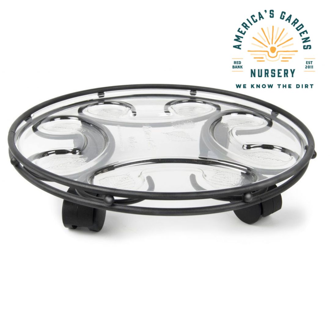 Deluxe Slate Saucer Caddy