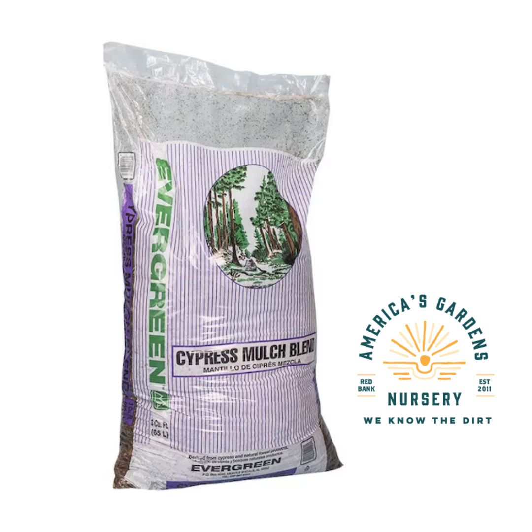 Evergreen Bagged Mulch