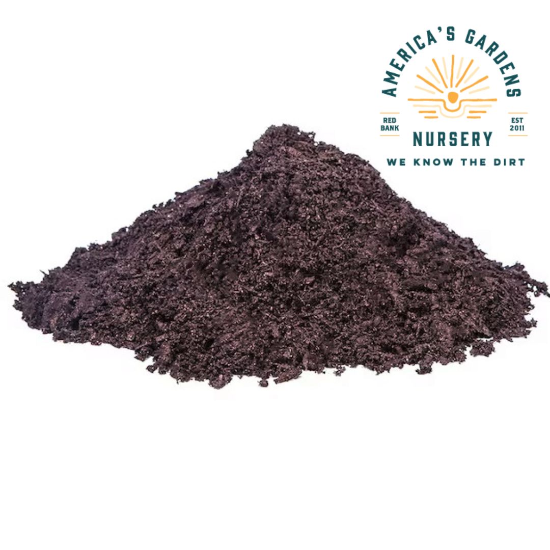 Evergreen Composted Organic Humus