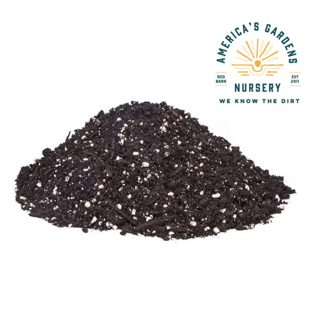 Evergreen Potting Soil