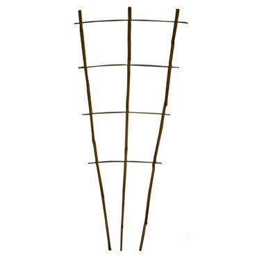 Bamboo Fan Trellis