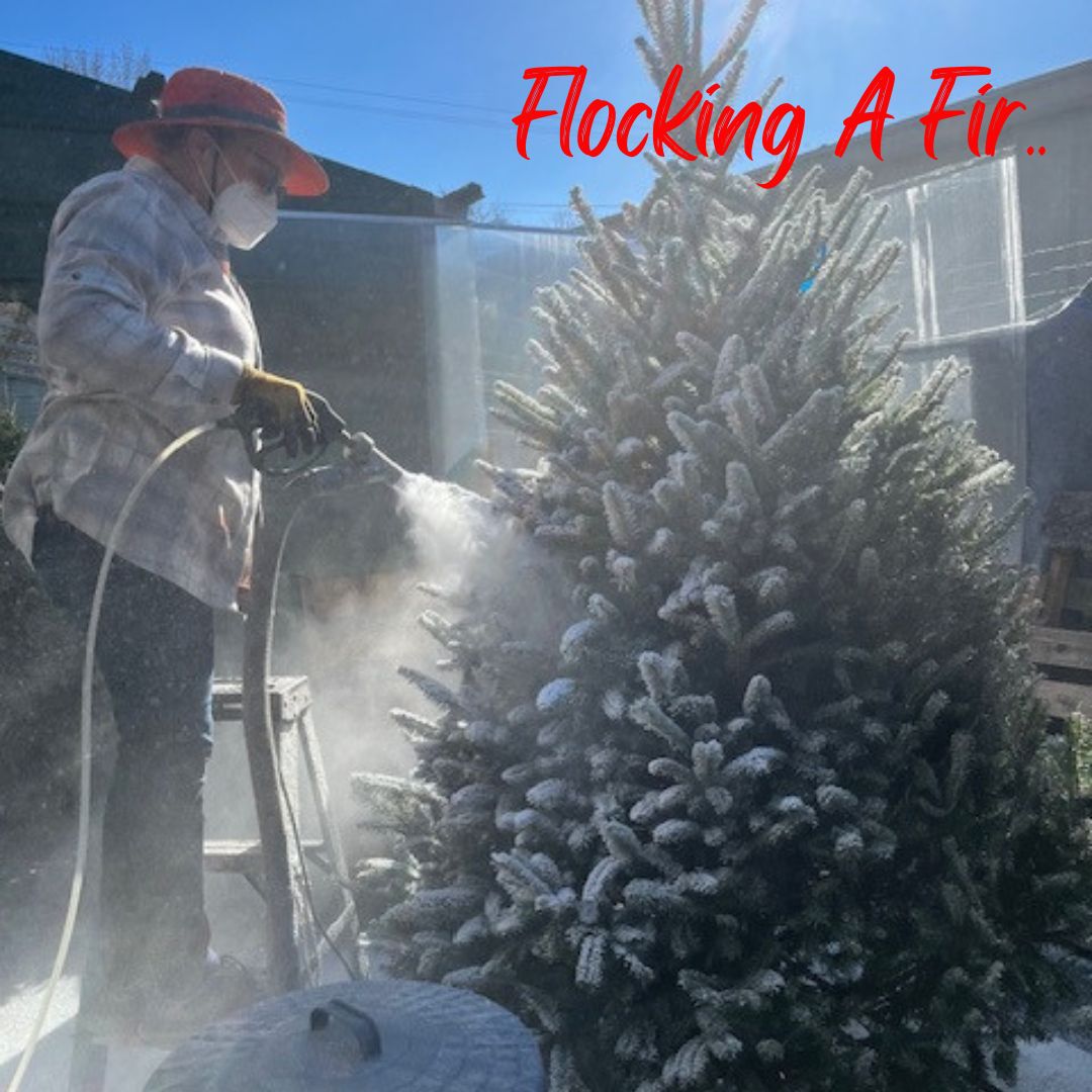 Christmas Trees