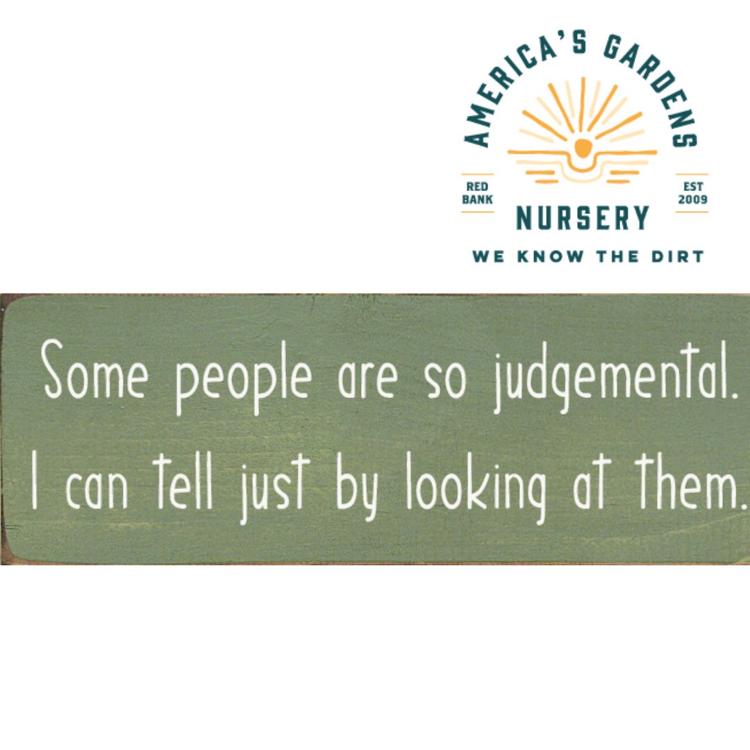 Funny Wooden Signs