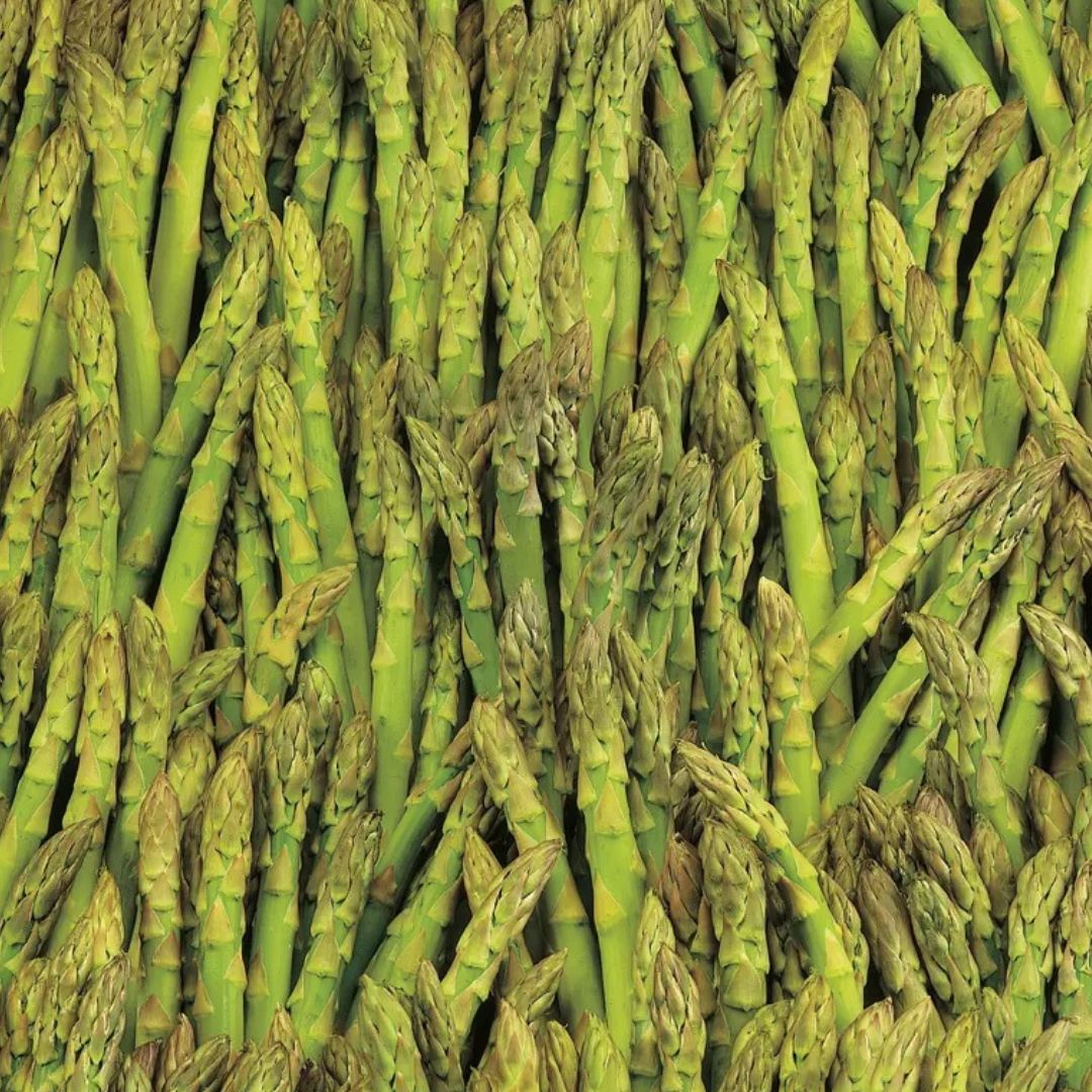 Asparagus (Edible) Plant