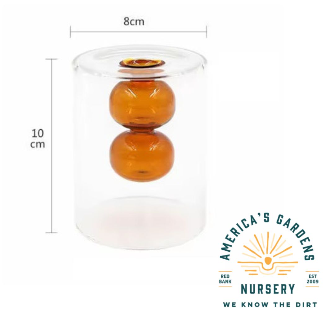 Modern Glass Covered Vase