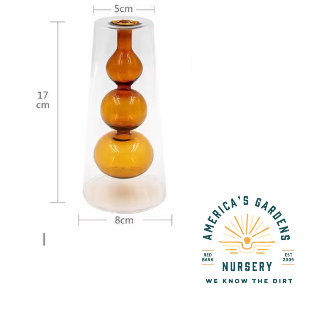 Modern Glass Covered Vase