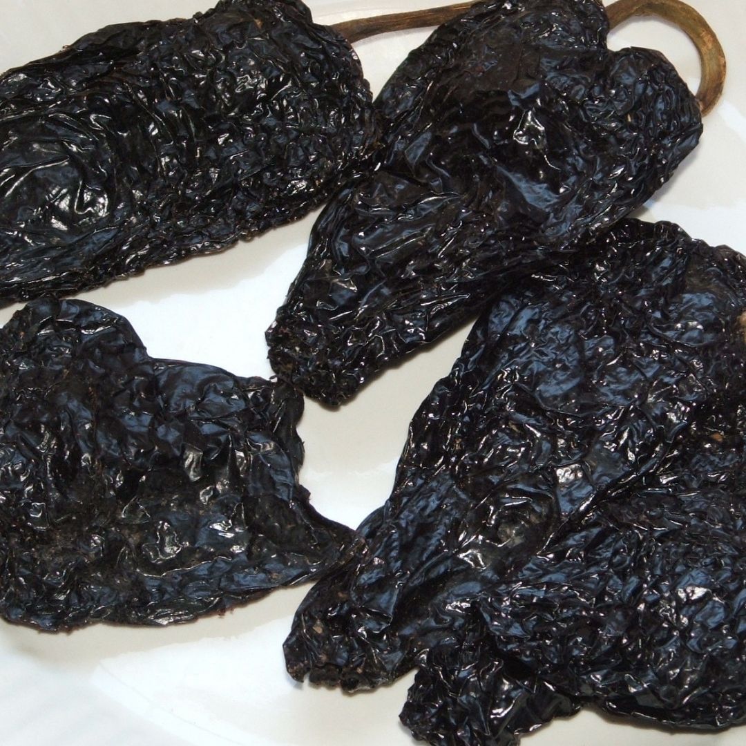 Mulato Isleno Pepper Plant