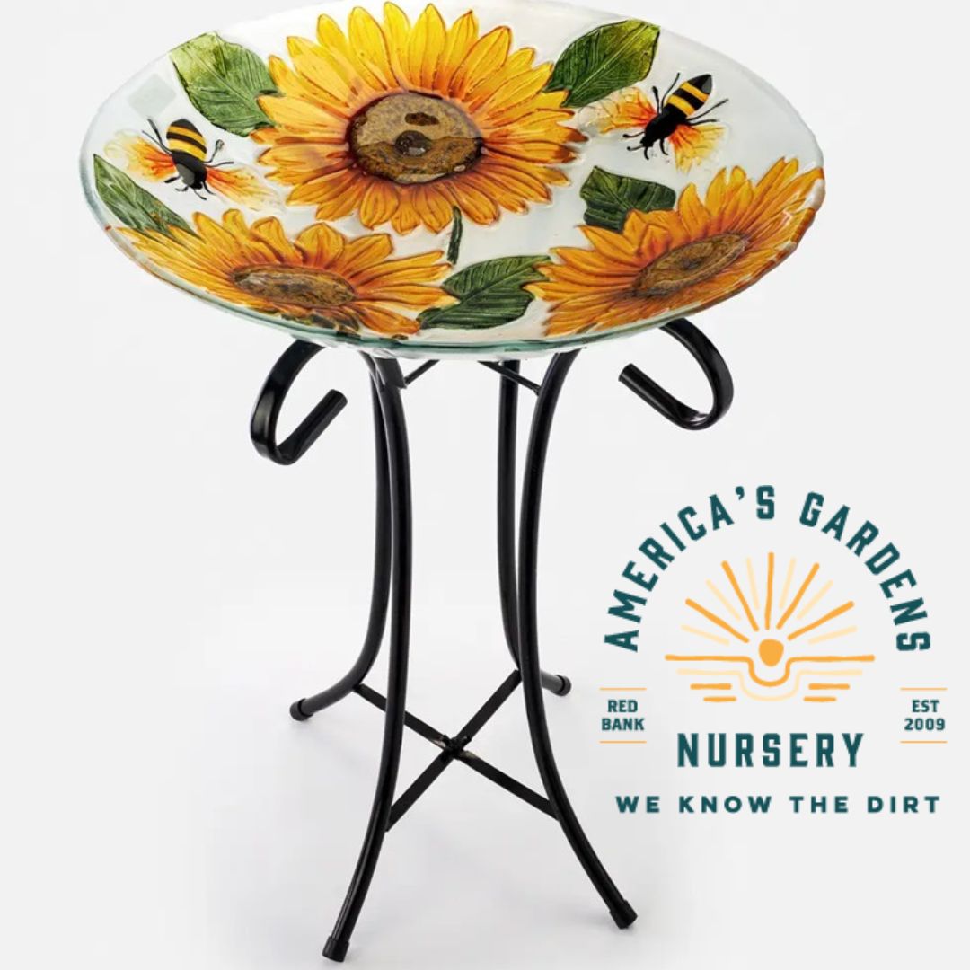 Glass Birdbath W/Stand