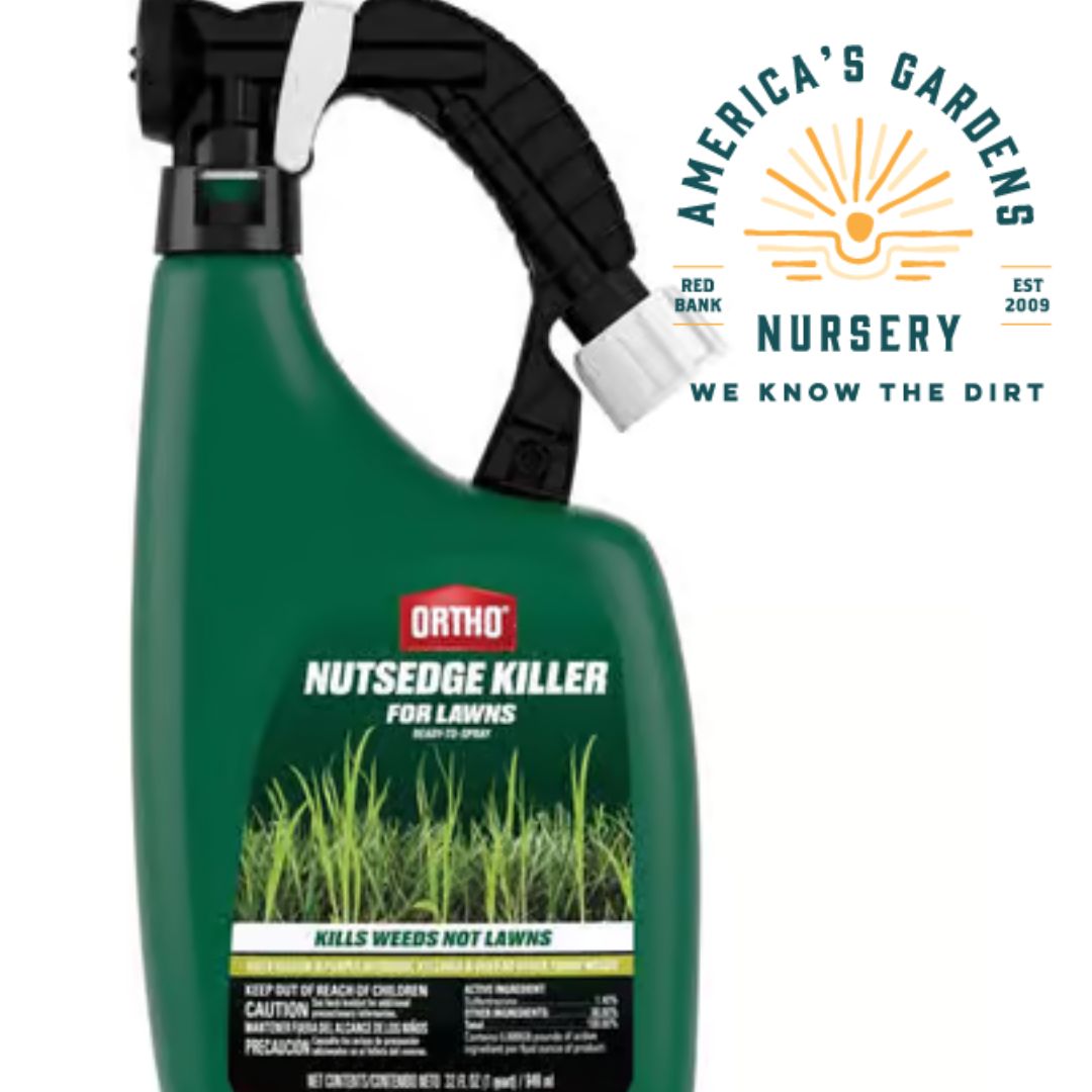 Ortho RTS Nutsedge Killer