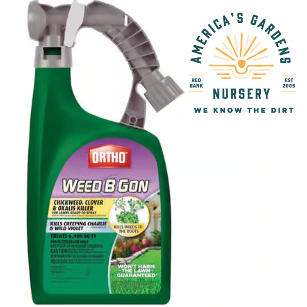 Ortho Weed Be Gon Chickweed Clover Oxalis RTS