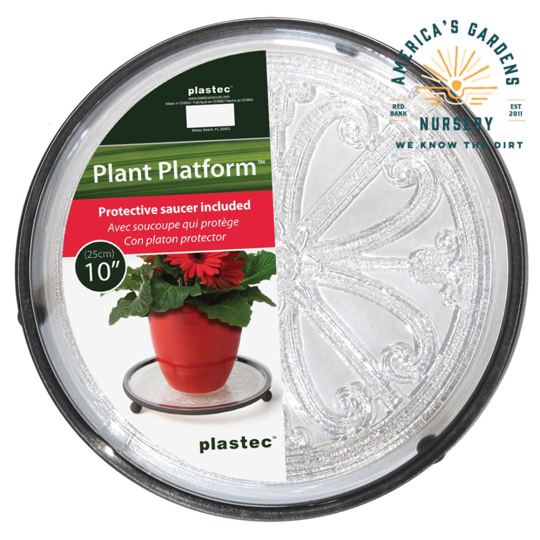 Plant Platform Flint