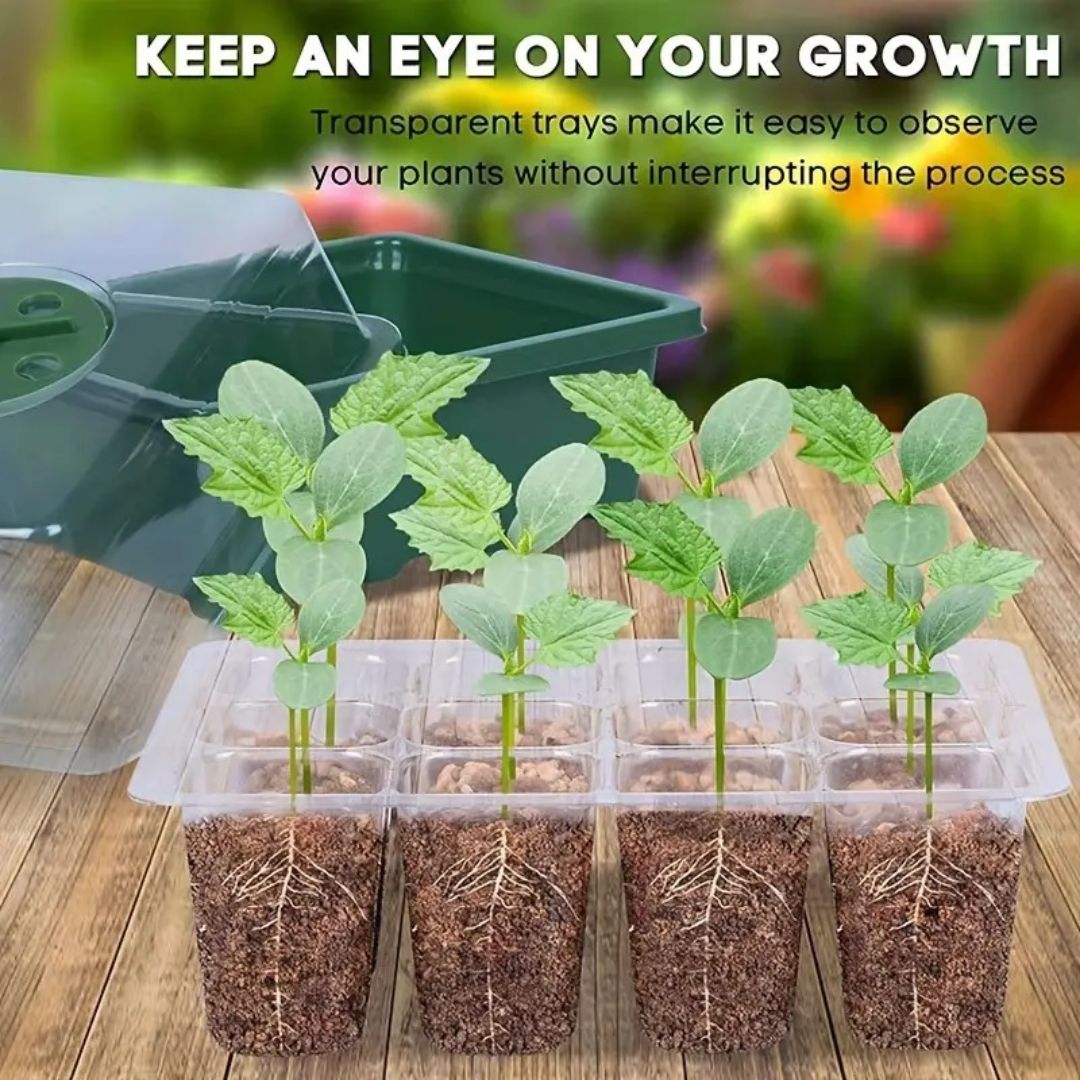 Seeding & Propogation Kit