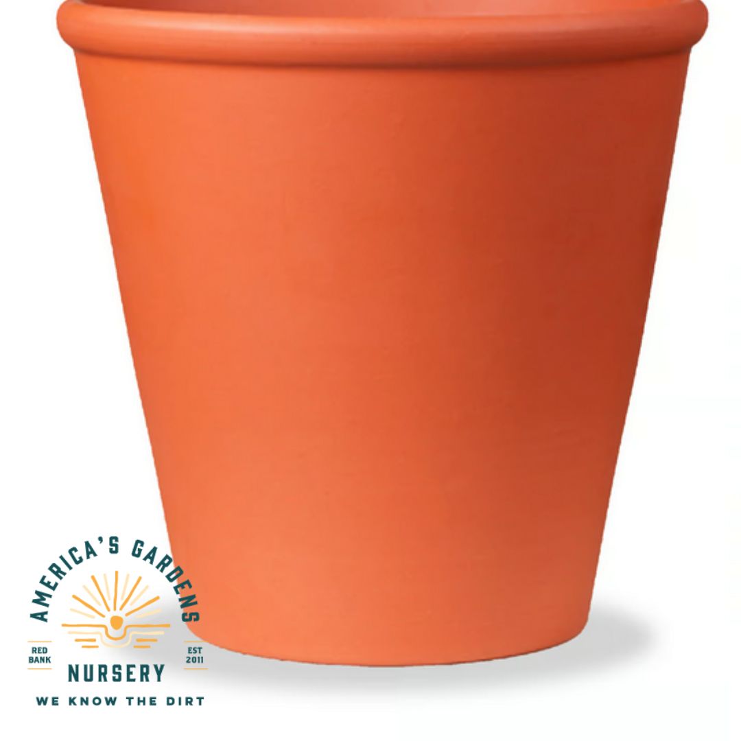 Red Clay Rose Cone Terra Cotta Pot