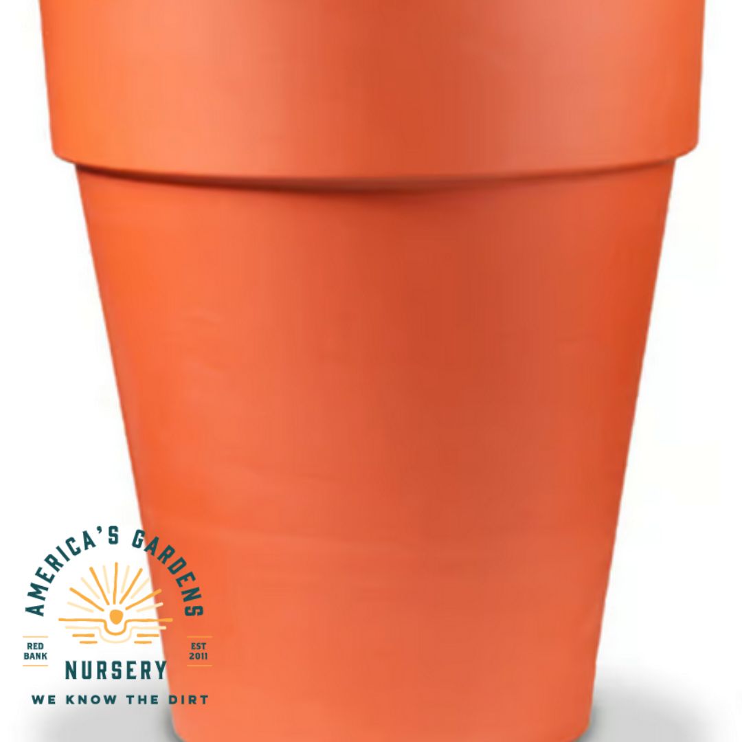 Red Clay Terra Cotta Rose Pot