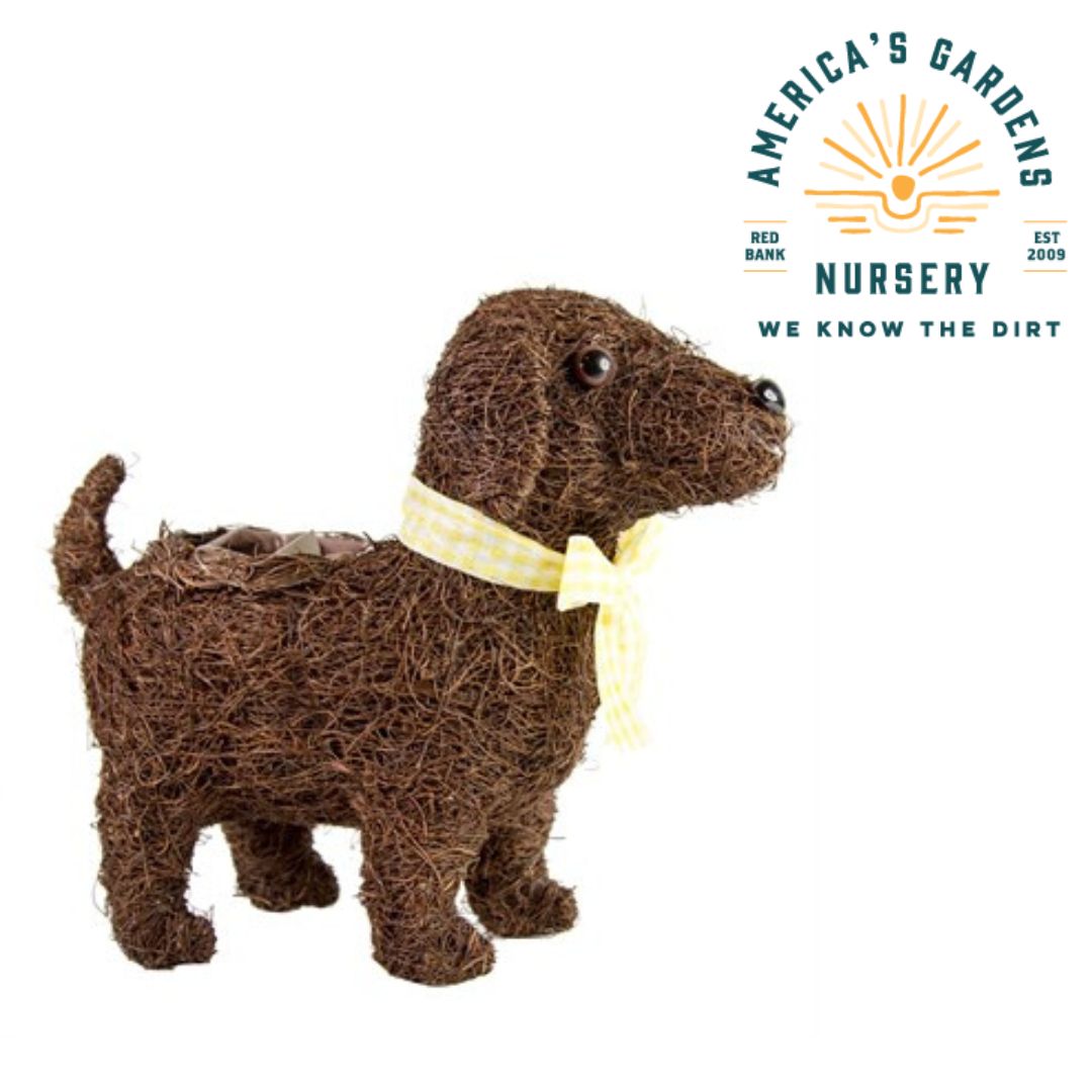Straw Topiary Salim Dog
