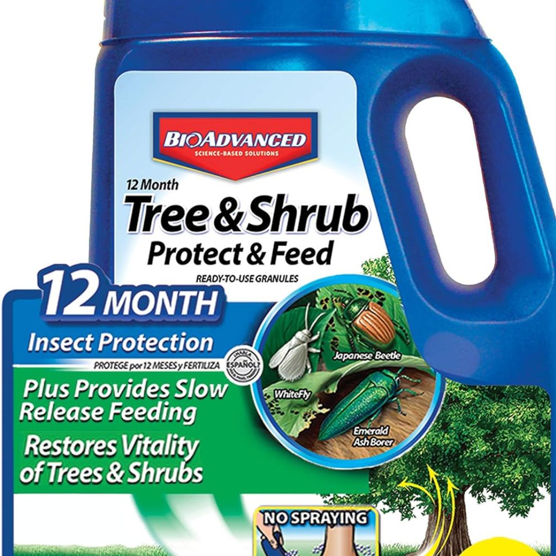 BioAdv Shrub Care Protect & Feed Granules America's Gardens Nursery