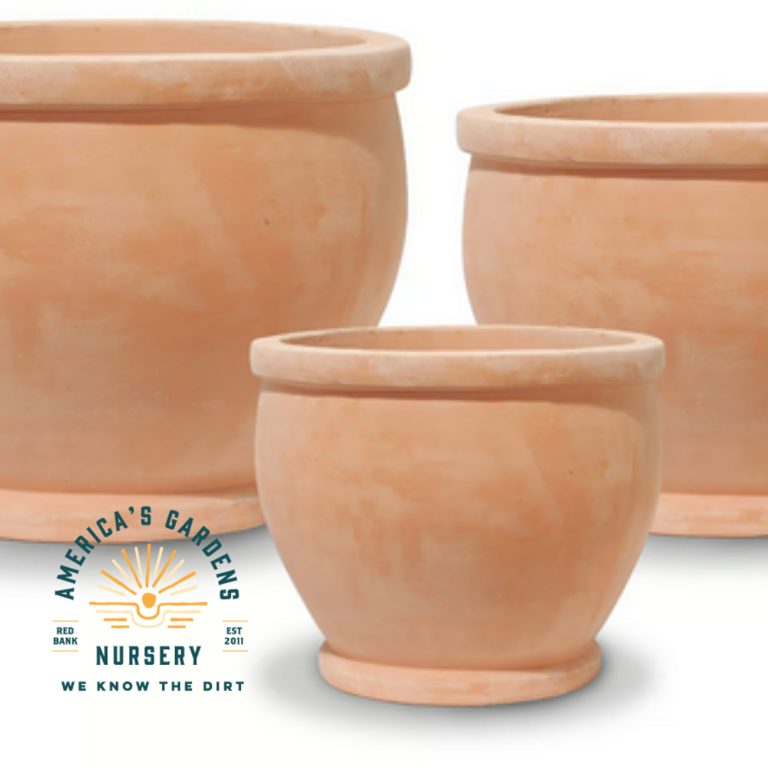 Simple Terra Cotta Fishbowl Pot