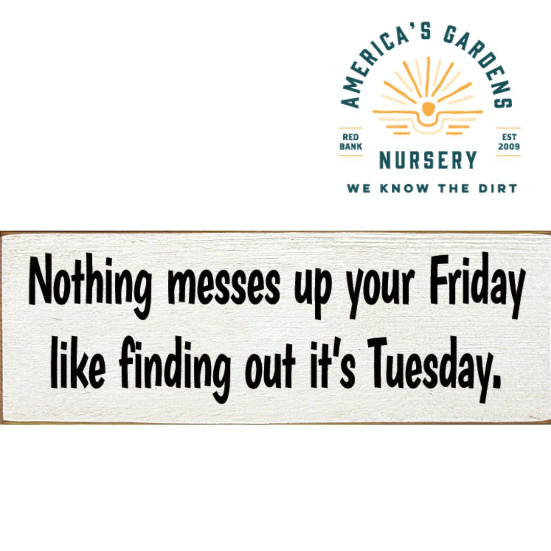 Funny Wooden Signs