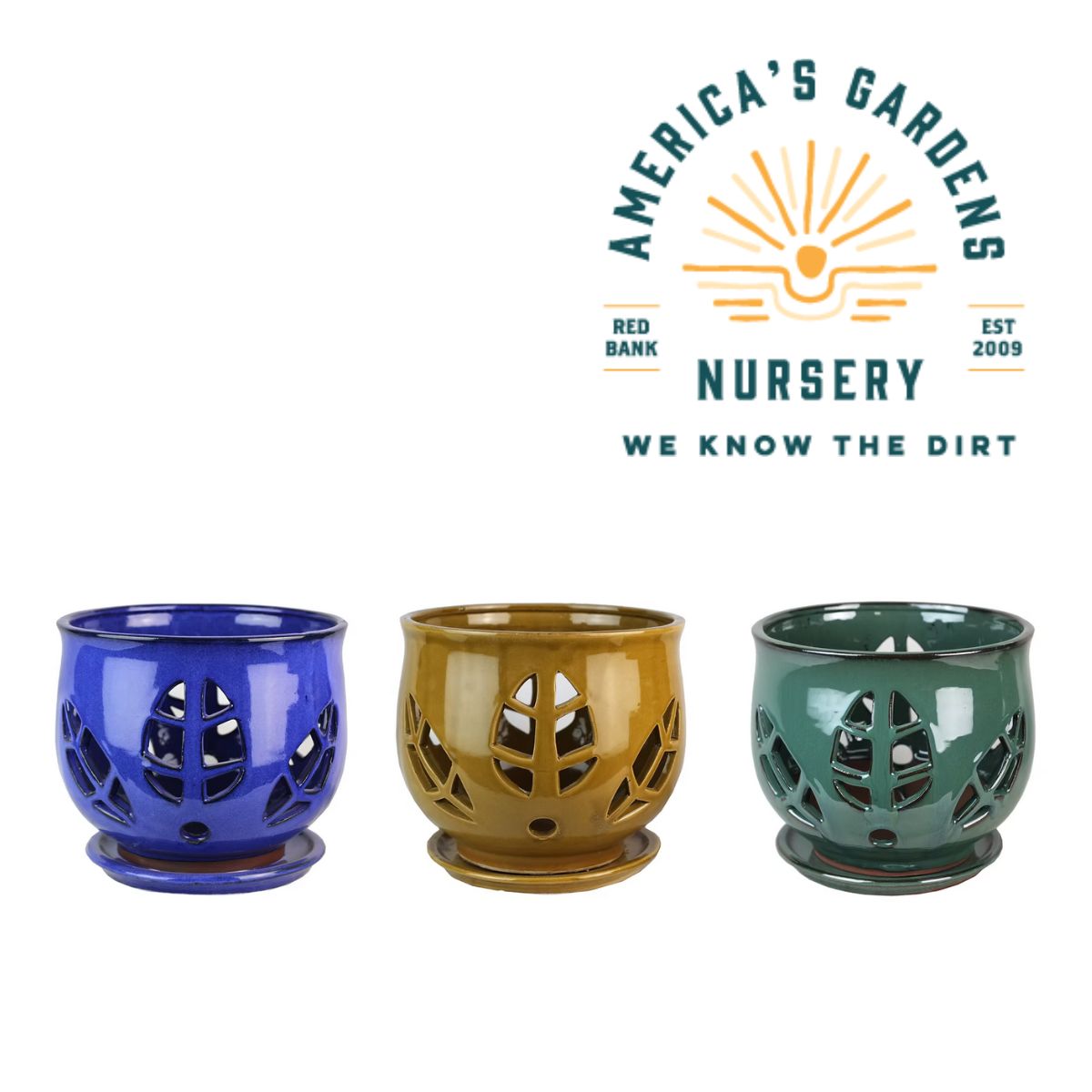 Tulip Leaf Orchid Pots