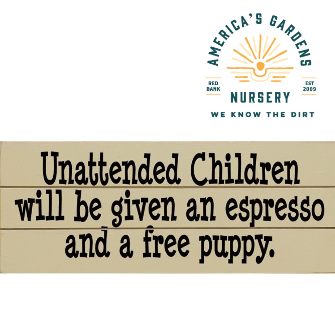 Funny Wooden Signs
