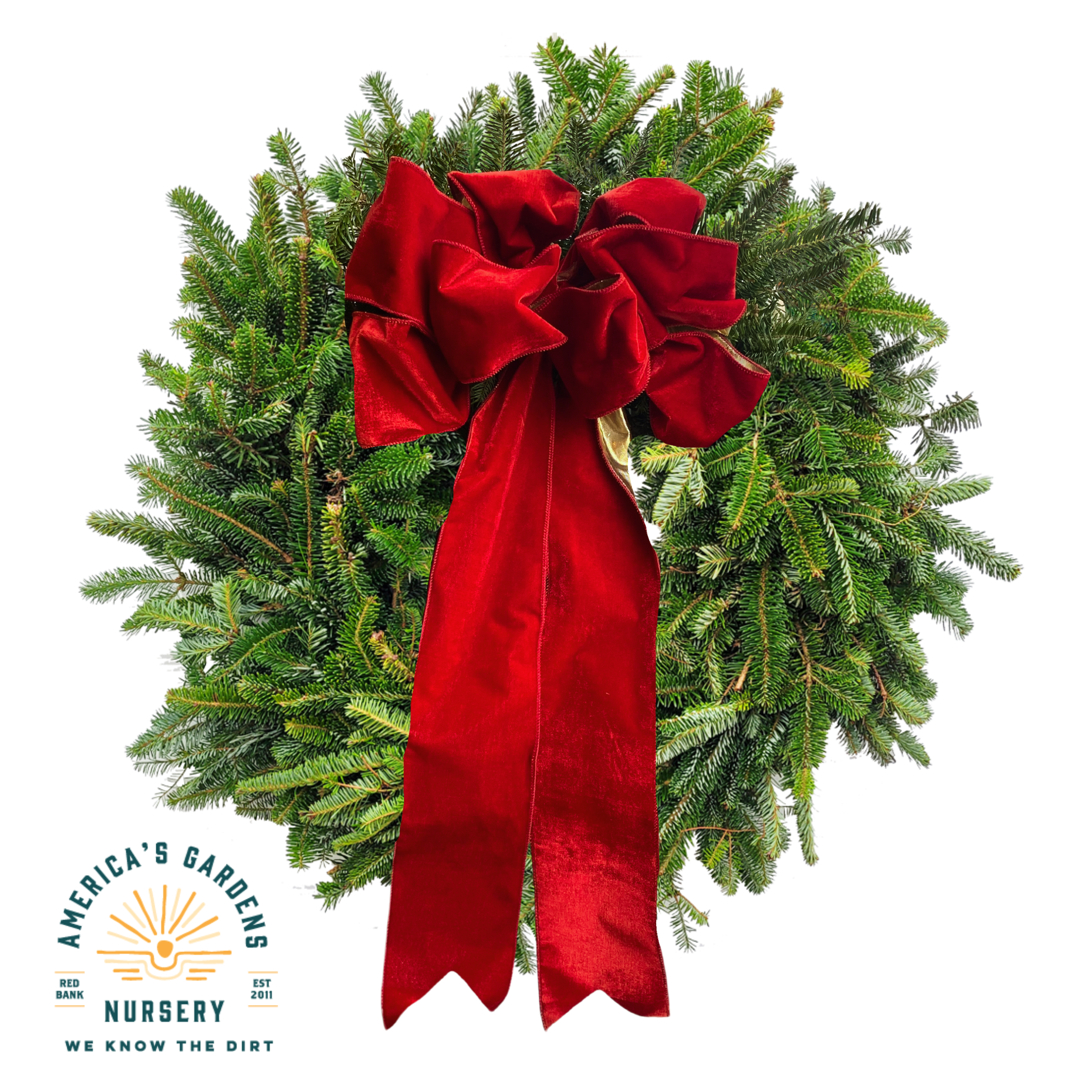 Live Christmas Wreaths