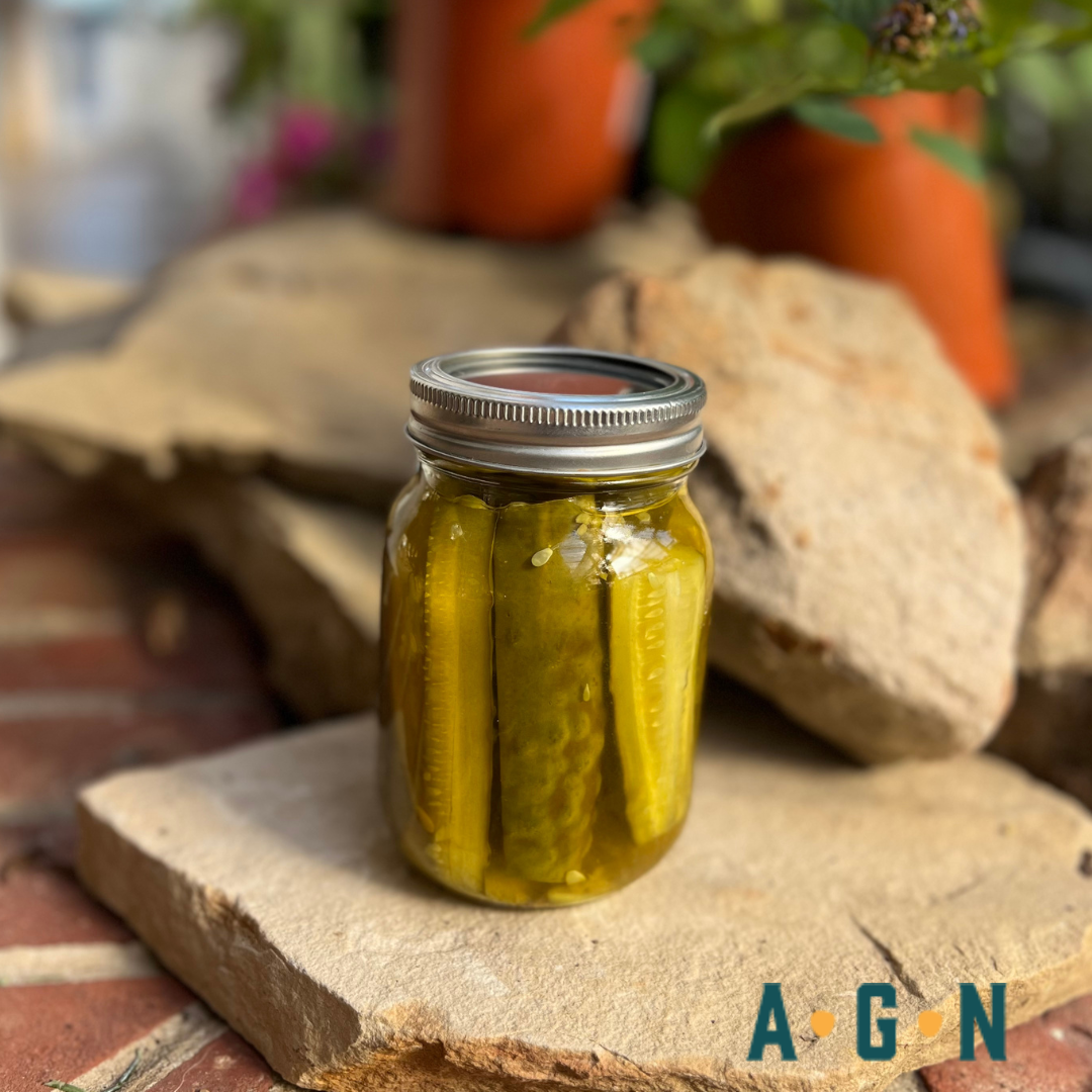 Homemade Dill Pickles