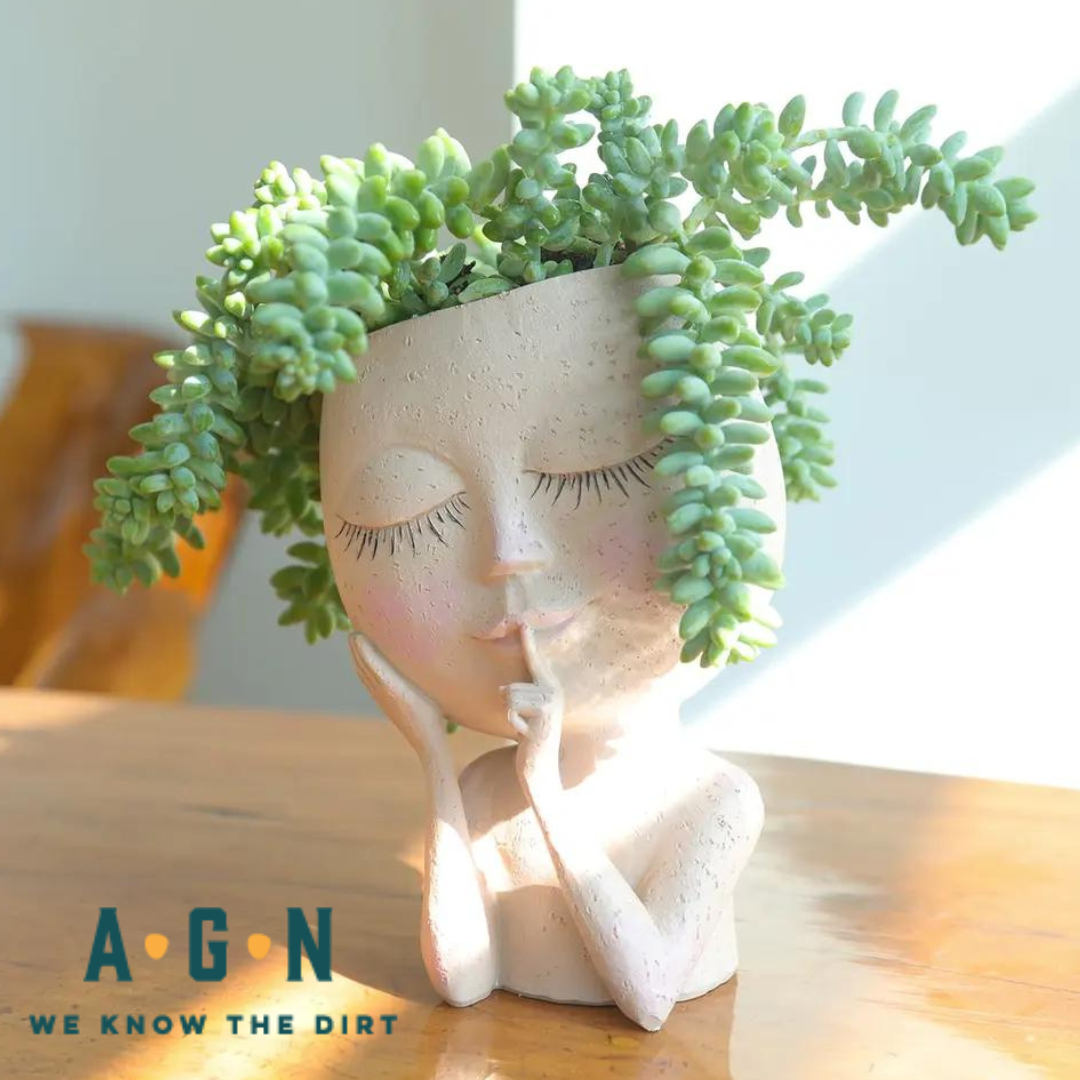Small Sweet Head Planter