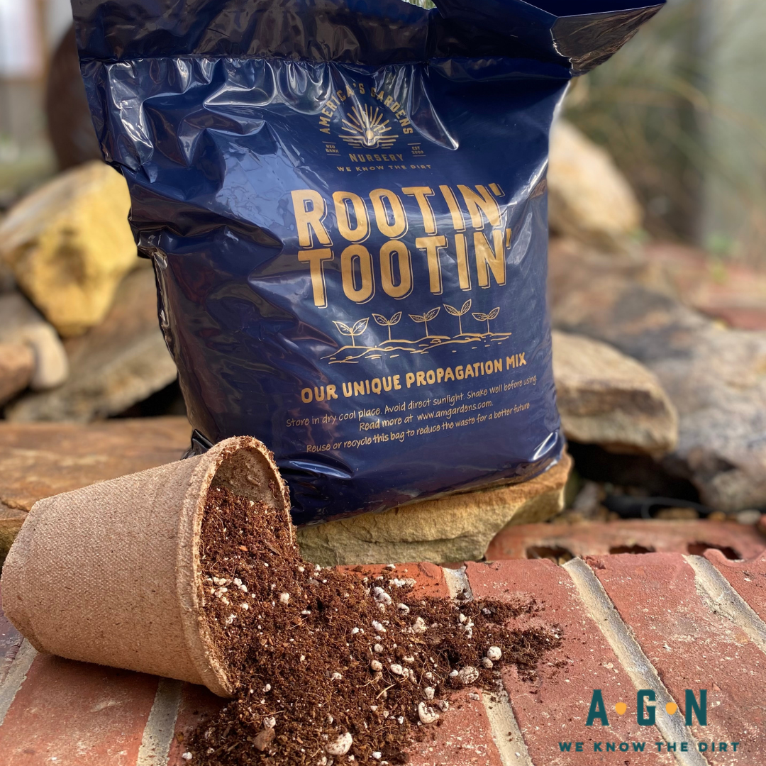 AGN Rootin' Tootin' Soil
