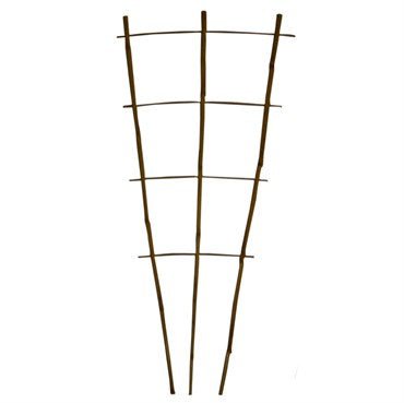 Bamboo Fan Trellis - America's Gardens Nursery