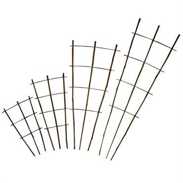 Bamboo Fan Trellis - America's Gardens Nursery