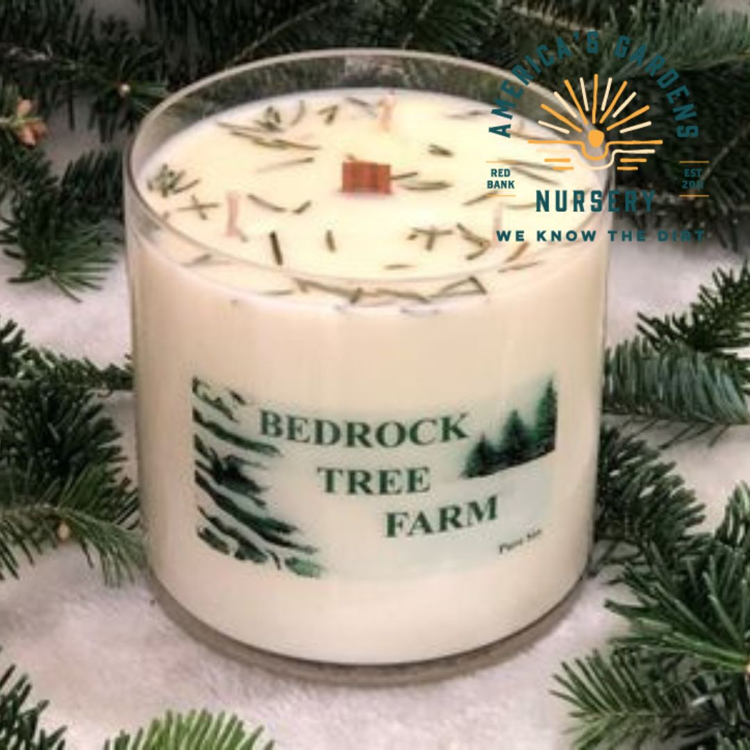 Bedrock Fir Christmas Soy Candles - America's Gardens Nursery