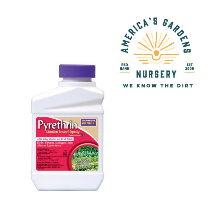 Bonide Pyrethrin Garden Insect Spray - America's Gardens Nursery