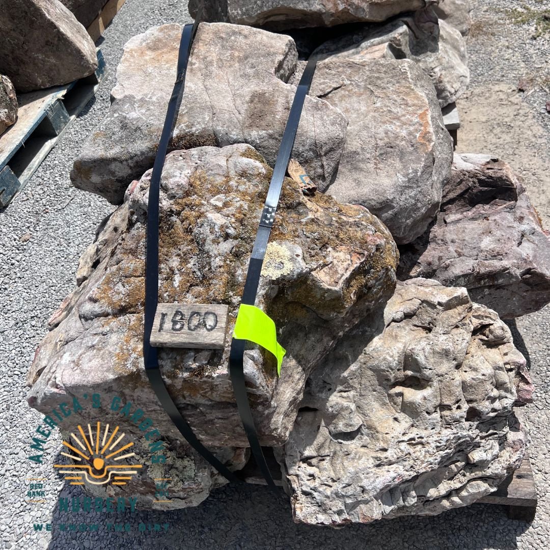 Boulders - America's Gardens Nursery