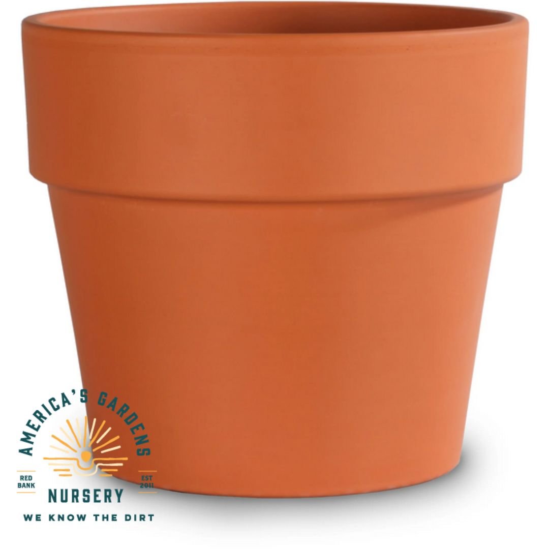 Calima Red Standard Clay Pot - America's Gardens Nursery