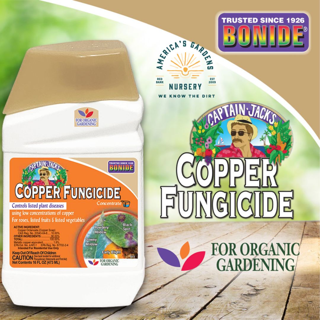 Captain Jack's Copper Fungicide - America's Gardens Nursery
