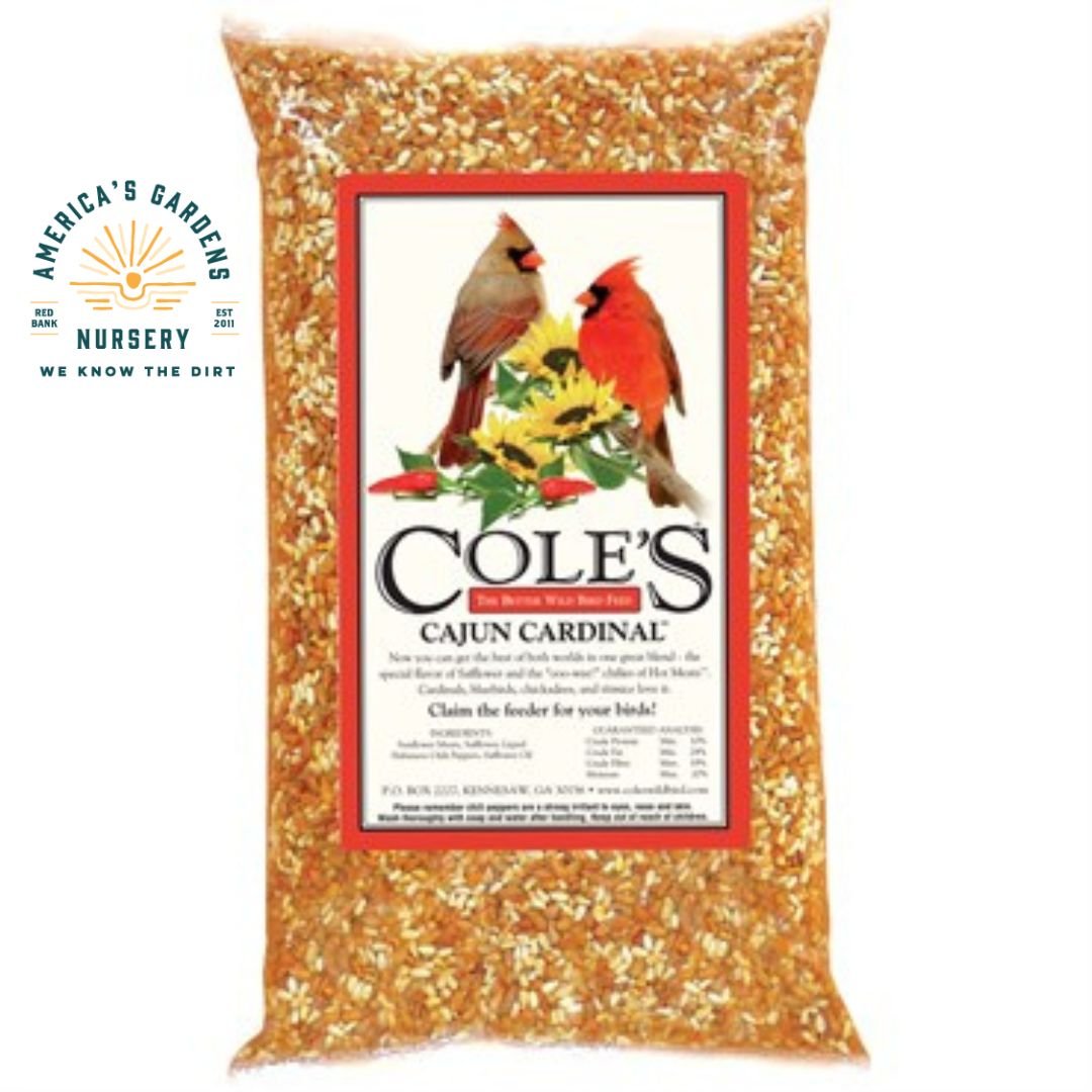 Coles Cajun Cardinal Blend Birdseed - America's Gardens Nursery