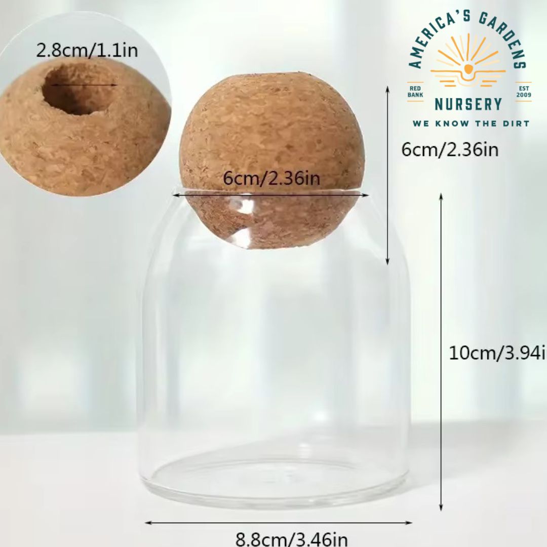 Cork Bottle Hydroponic Vase - America's Gardens Nursery