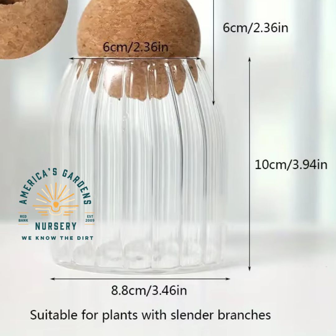 Cork Bottle Hydroponic Vase - America's Gardens Nursery