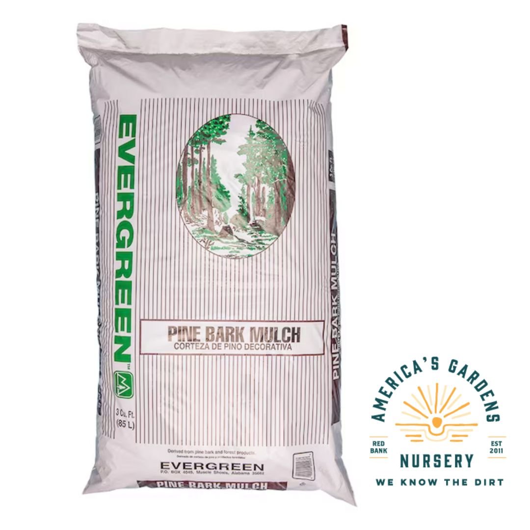 Evergreen Bagged Mulch - America's Gardens Nursery