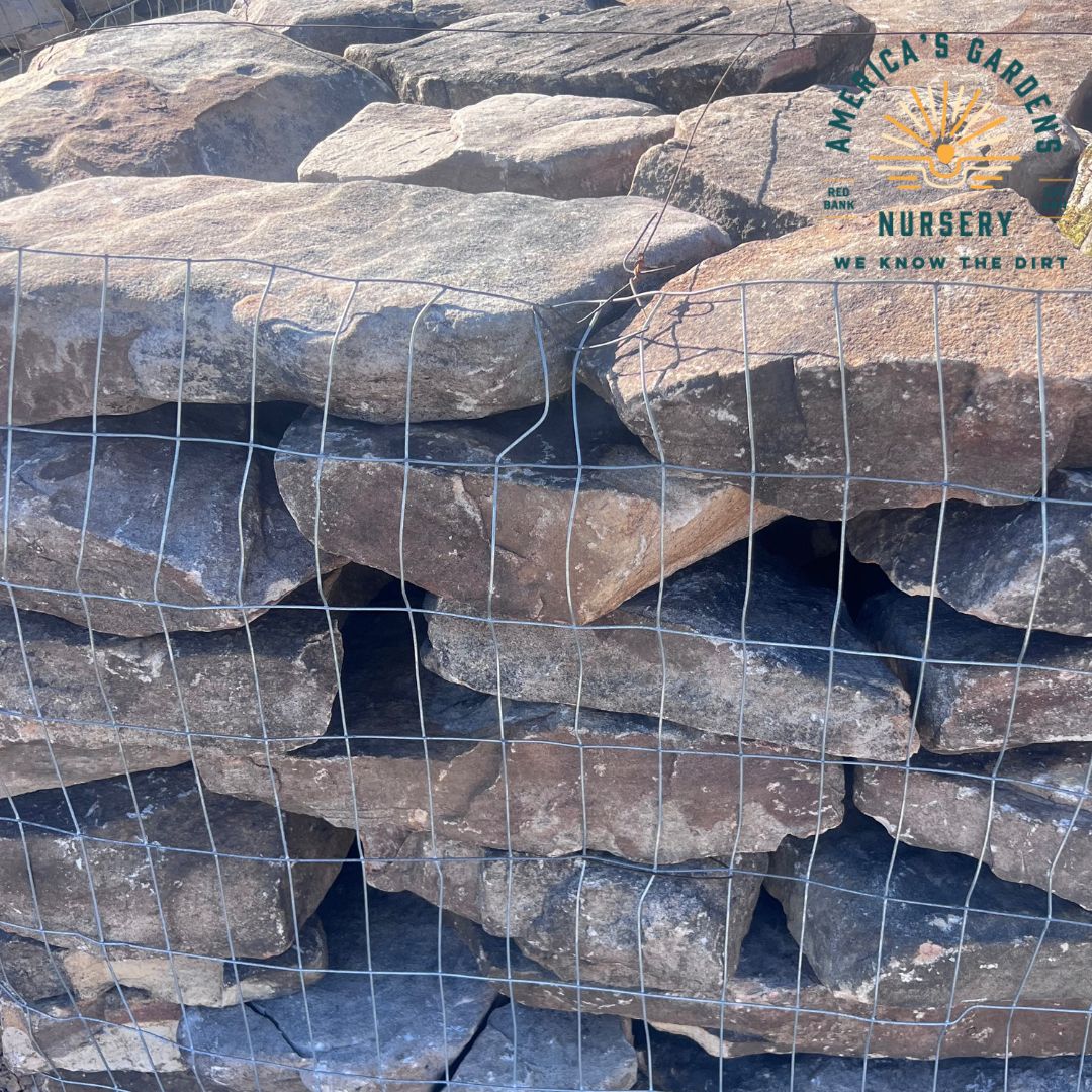 Fieldstone Medium Regular - America's Gardens Nursery