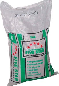 Five Star Turf Type Fescue - America's Gardens Nursery