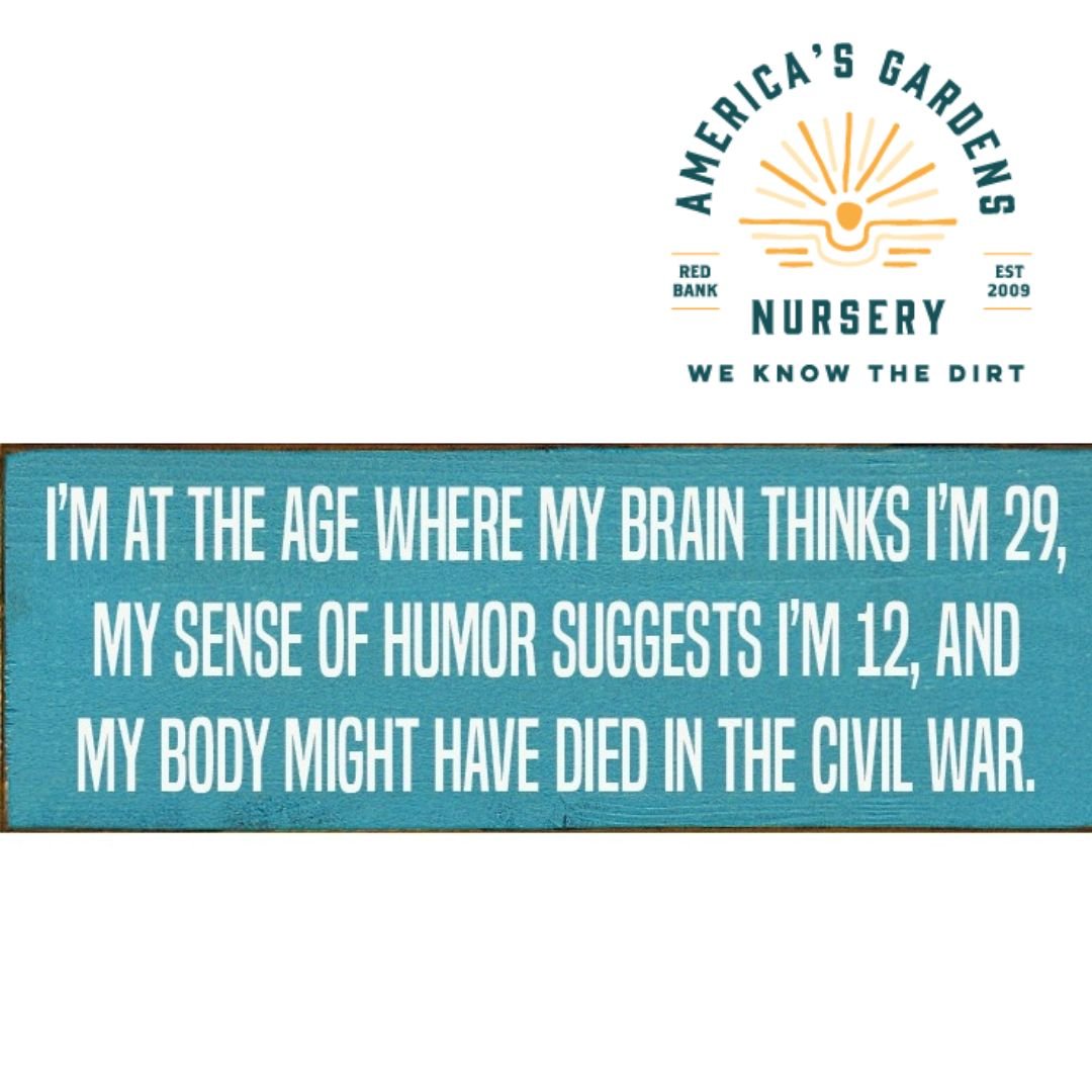 Funny Wooden Signs - America's Gardens Nursery