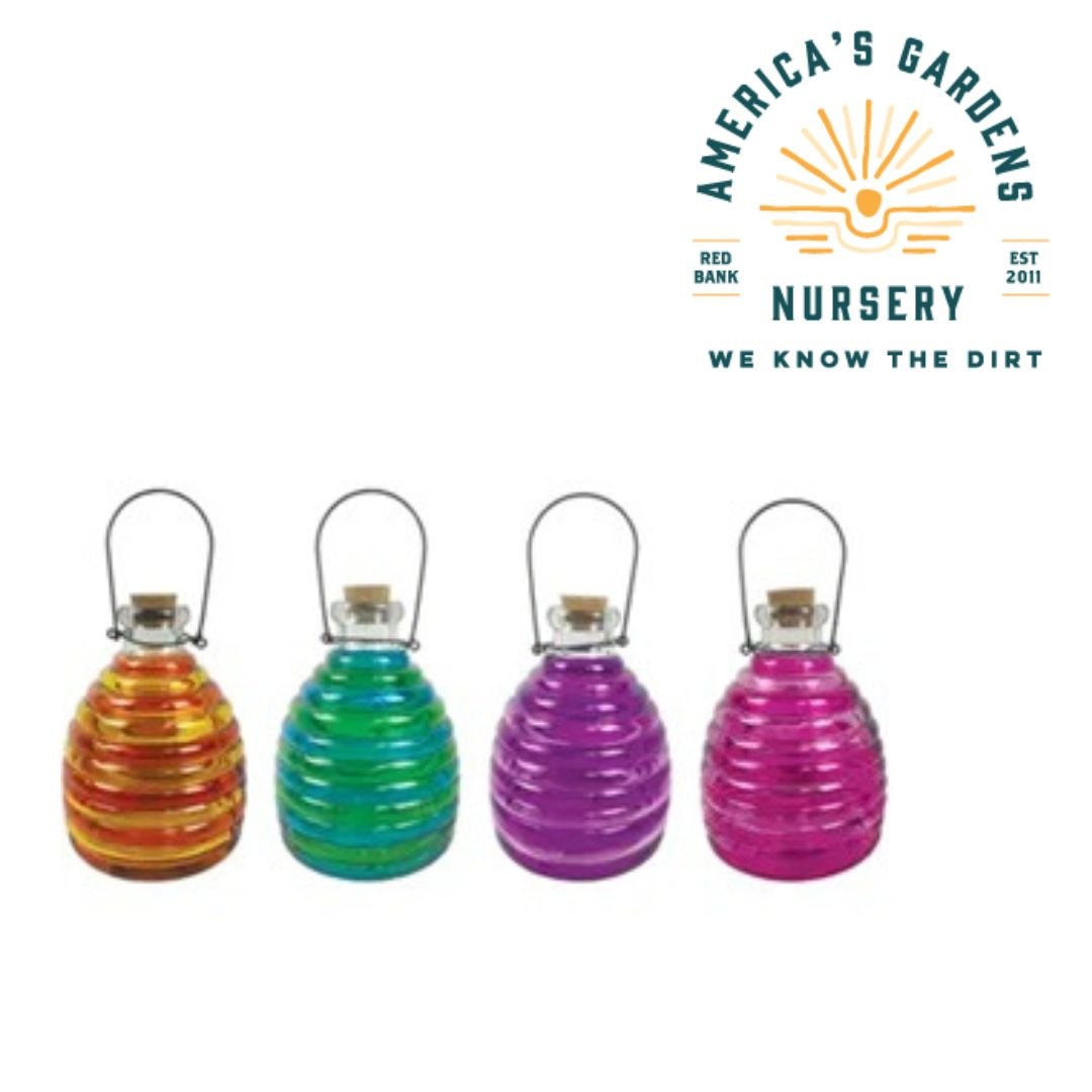 Glass Wasp Traps - America's Gardens Nursery